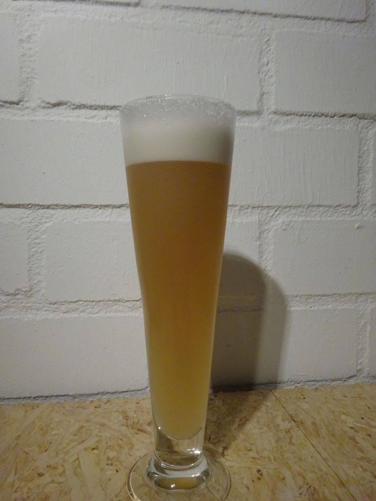 Gose ingeschonken