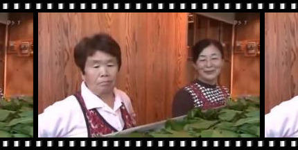 youtube thumbnail of japanalogy silk